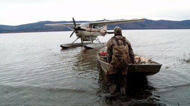 The Waters Edge: Waterfowl in Alaska