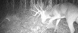 The Wired To Hunt Podcast – Episode #61: 2015 Rut Predictions & Theories