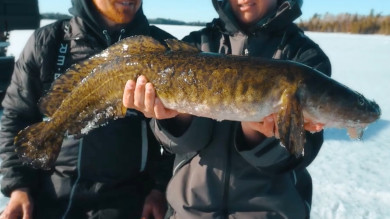 How to Ice Fish for Burbot