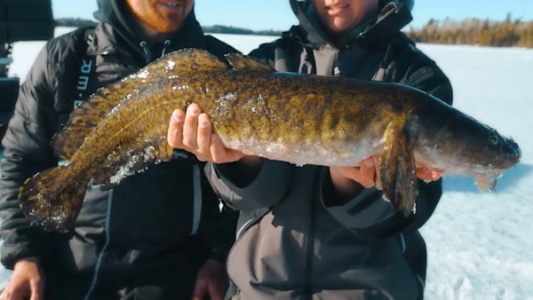How to Ice Fish for Muskie | MeatEater Fishing