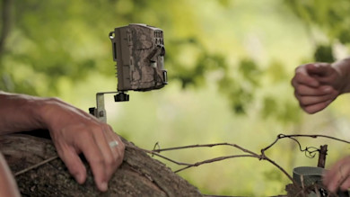Camouflaged trail camera mounted on bracket on log; two hands adjusting a vine