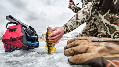 Stay Stealthy for Early Ice Success