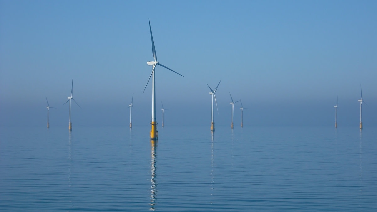 Can Wind Farms be New Jersey’s Next Great Fishery?