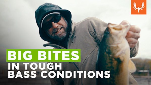 SQ_TP_LARGEMOUTH_1920x1080_1_V1.jpg