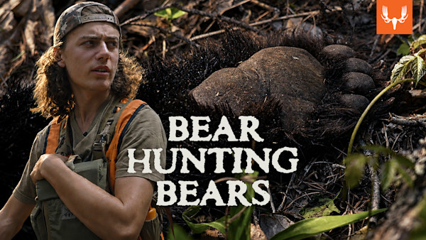 ME_MTBEAR_BearNewcomb_05.jpg