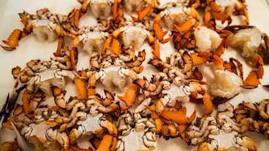 Kona crab pieces on white cutting board