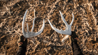 shed hunting conditions