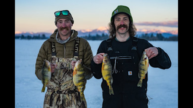 Idaho Perch with Old Time Hawkey