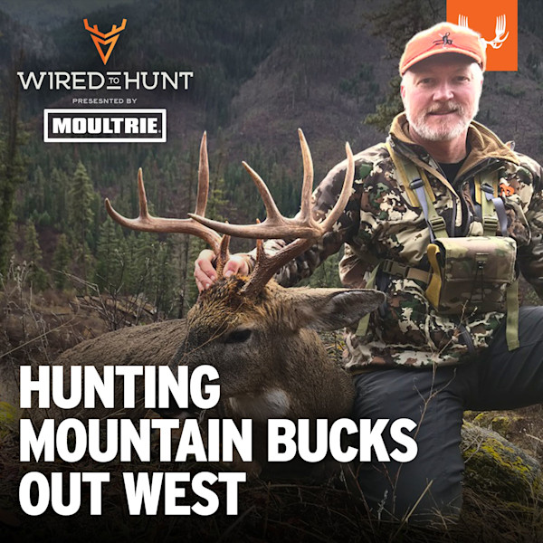 Hunter kneeling with large antlered buck in mountain forest; overlay text "HUNTING MOUNTAIN BUCKS OUT WEST"