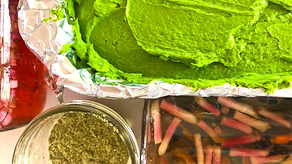 Wild Ramps The Complete Guide to Finding and Eating Wild Leeks