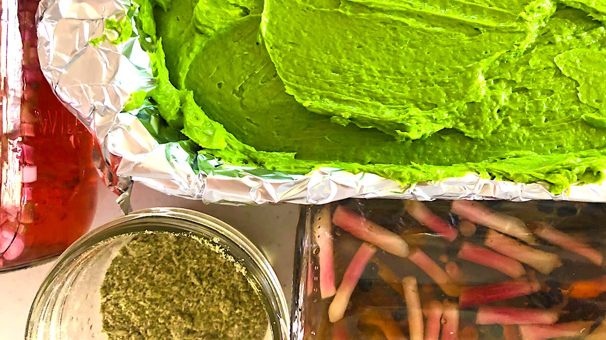 Wild Ramps: The Complete Guide to Finding and Eating Wild Leeks ...