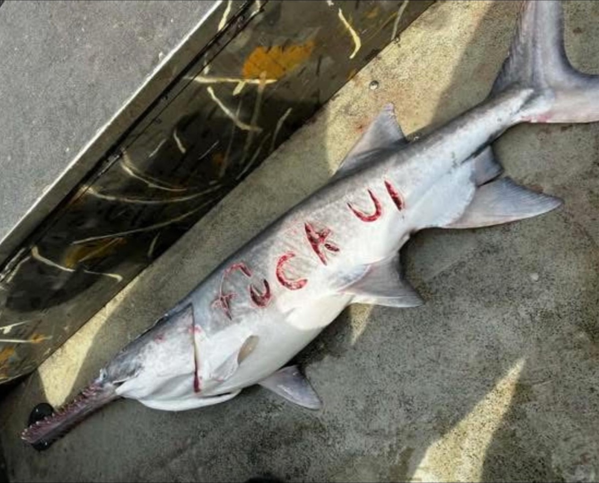 672406806 1239963761556032 6908440498337820294 n