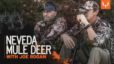 Nevada Mule Deer with Joe Rogan