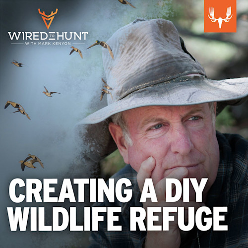 Ep. 911: Creating a DIY Wildlife Refuge with Doug Tallamy