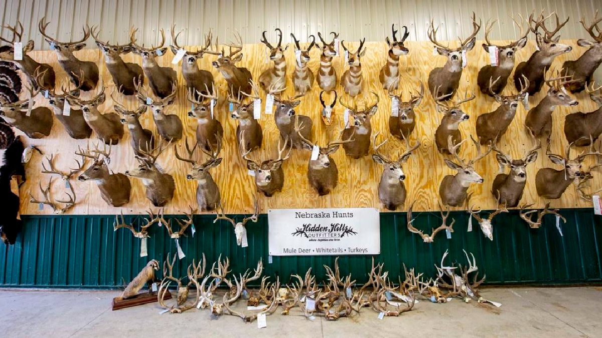 Outfitter Sentenced to Prison in Massive Nebraska Poaching Ring