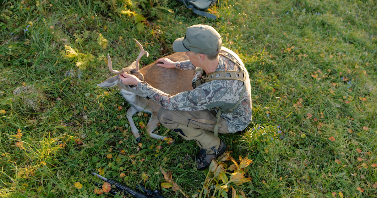 Federal Policy and Management Changes Threaten the Future of Sitka Blacktail Deer Federal Policy and Management Changes Threaten the Future of Sitka Blacktail Deer