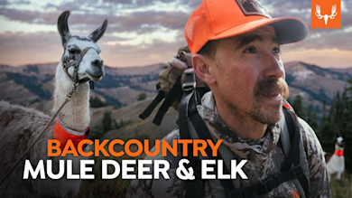 Burning Eyeballs | Backcountry Mule Deer and Elk