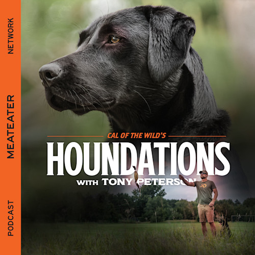 Ep. 402: Houndations - How to Ensure Your Dog Gets Enough Bird Exposure This Season