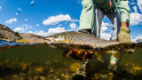 How to Catch Late Summer Trout