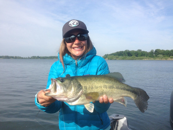 Why You Should Fly Fish For Bass