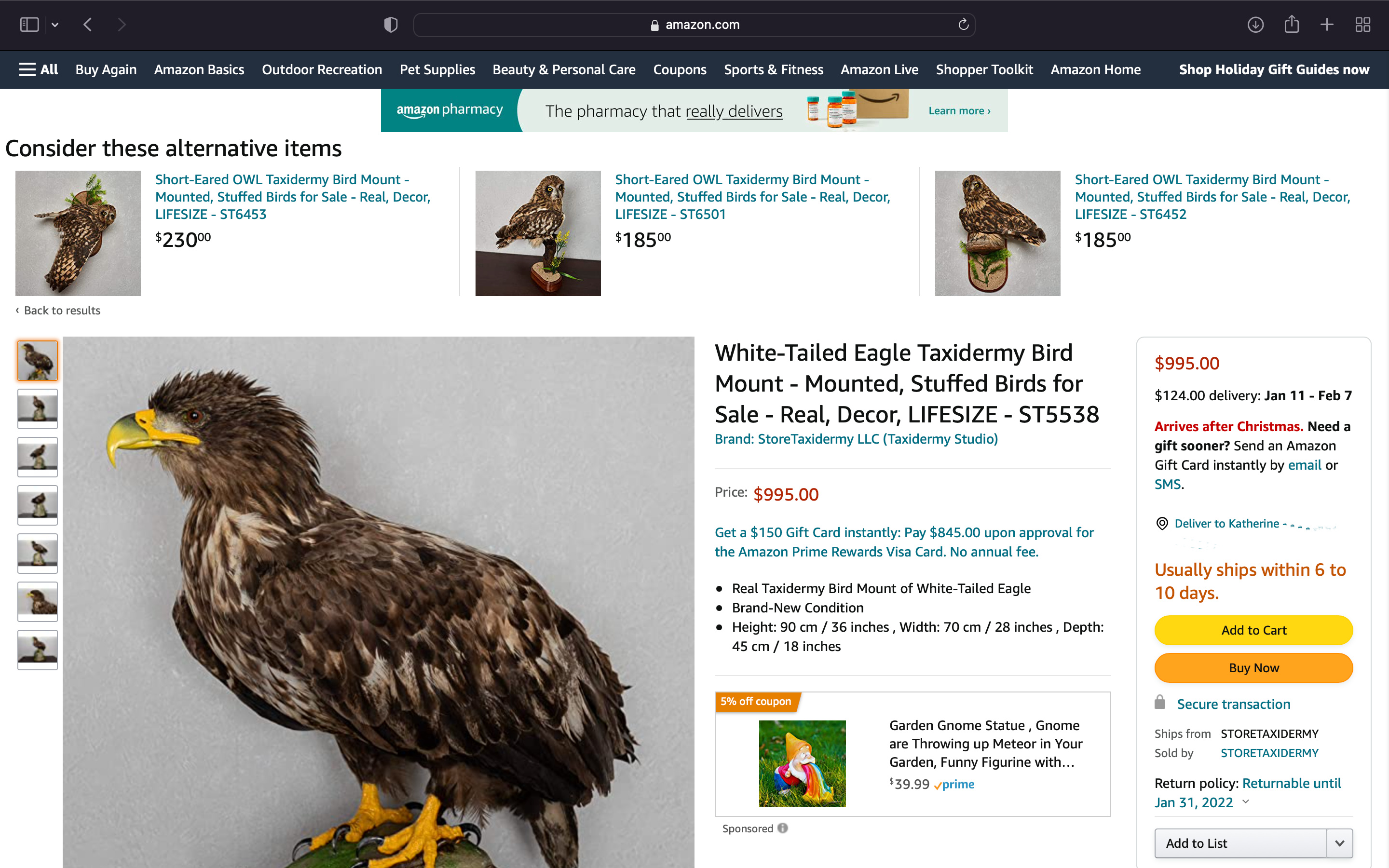 white-tailed eagle amazon