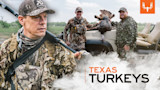 Texas Turkeys