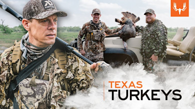 Texas Turkeys