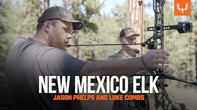 Country Music and Bugling Bulls | Archery Elk with Combs and Phelps