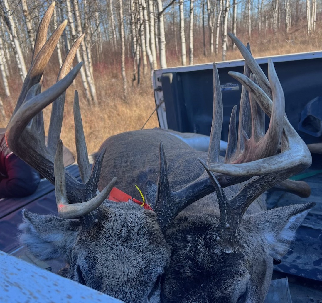 Buck Flag,Deer Hunting,Bow hunter,Skull,Country LIfe,NRA,Hunting