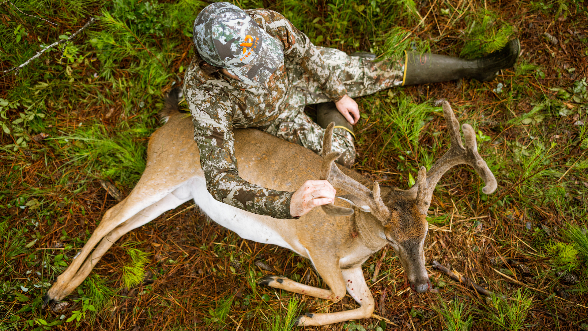 Trace System for early-season whitetail