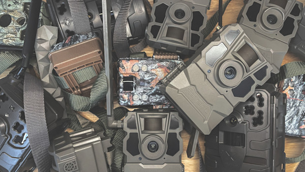 What's the Future of Trail Cameras in the West?