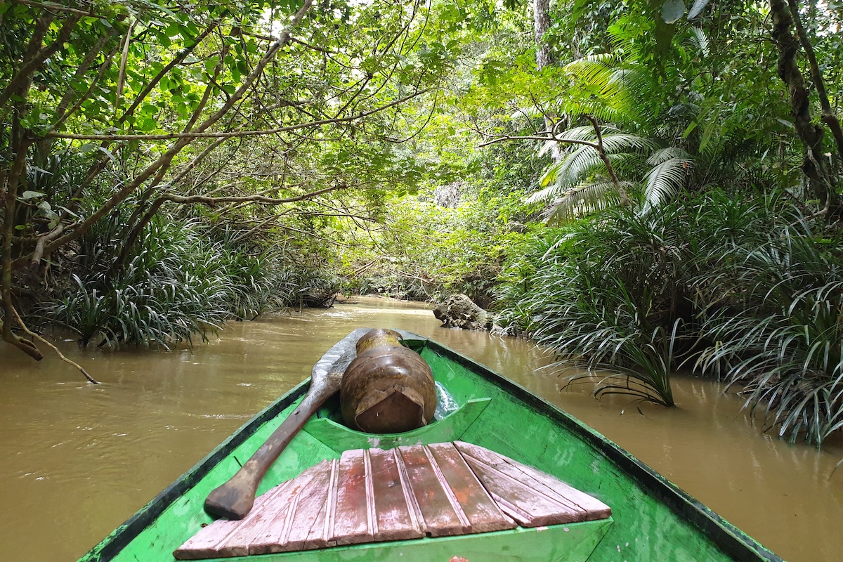 canoes