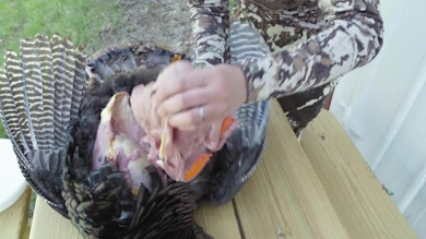 Hunter in camouflage butchering a wild turkey on a wooden table