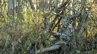 How to Create the Perfect Turkey Setup