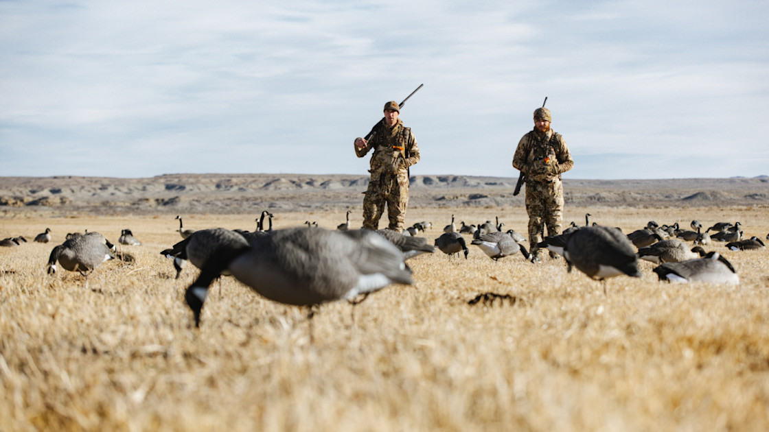 5 Best States for DIY Goose Hunting MeatEater Hunting