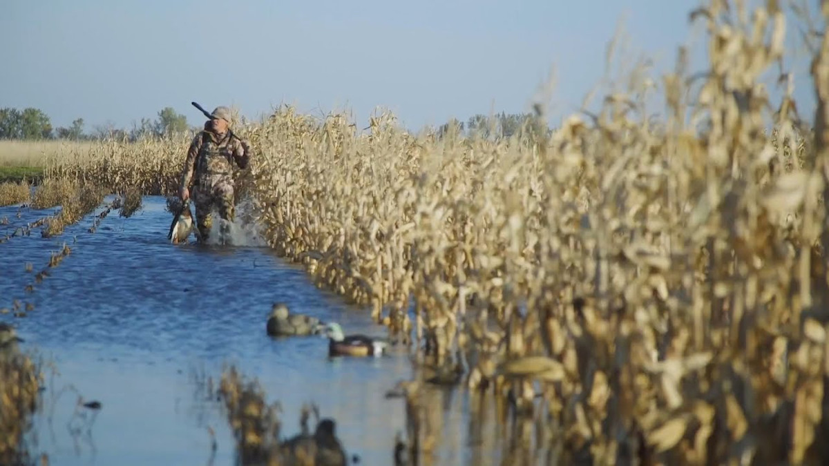 South Dakota Ducks