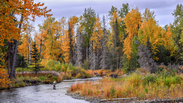 How to Catch Trout in Fall