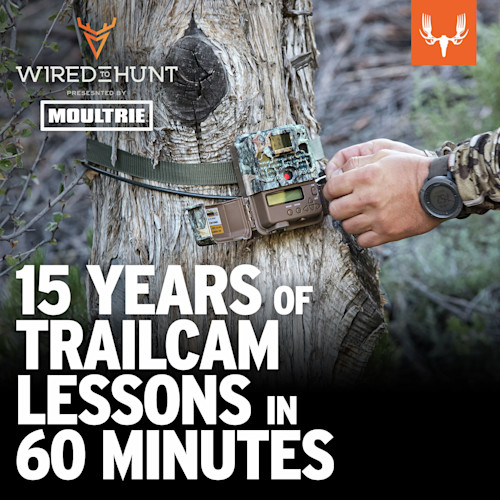 Trail camera on tree being adjusted; WIRED TO HUNT presented by MOULTRIE; 15 YEARS OF TRAILCAM LESSONS IN 60 MINUTES