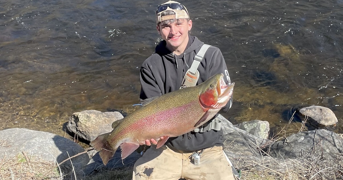 Connecticut’s New State Record Rainbow was Used to ‘Help Trigger’ Hatchery Salmon to Eat Connecticut’s New State Record Rainbow was Used to ‘Help Trigger’ Hatchery Salmon to Eat