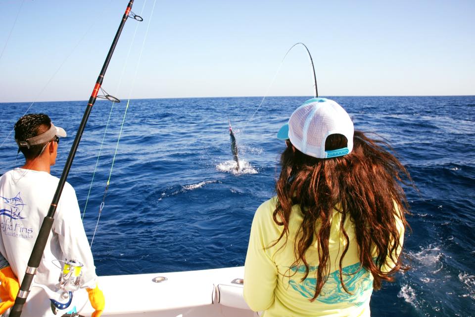 Fly Fishing for Billfish: The King of the Ocean