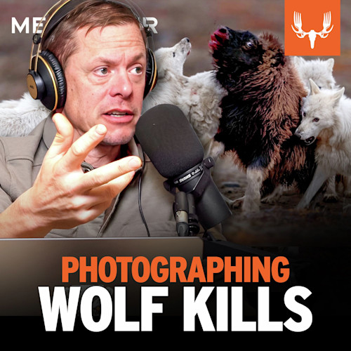 Ep. 814: Photographing Wolf Kills, Underwater Beavers, and Other Impossible Shots