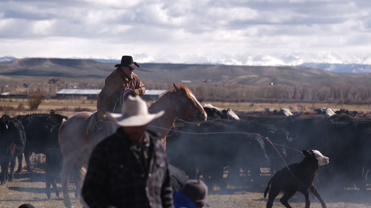 What Cowboys Can Teach Us About Cooking Testicles