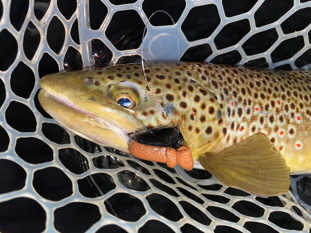 How to Fish a Winter Midge Hatch