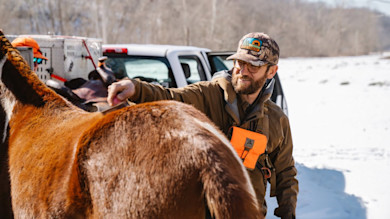 Clay Newcomb brushing a horse beside a pickup in snow, hat patch text "Bear Grease"