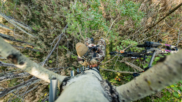 How to Kill a Whitetail Buck in September
