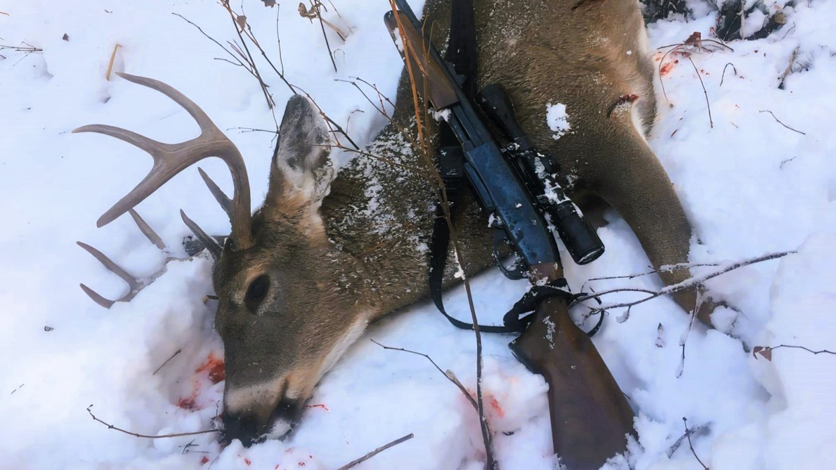 Why Carbines Are the Best Big Woods Buck Rifles