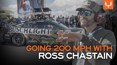 Talladega to Treestand 