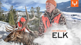 Montana Elk