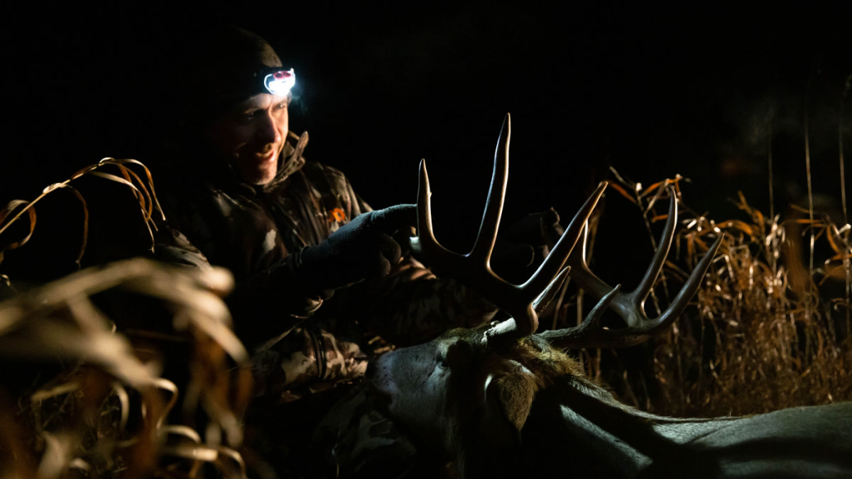 3 Most Underrated States for Public Land Whitetail Hunting