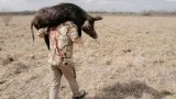 Kentucky Finalizes Hog Hunting Ban
